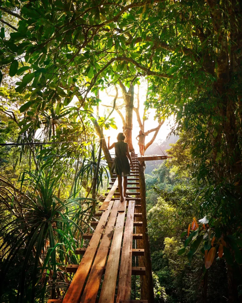 Passerelle en bois au cœur d’une forêt de montagne, incarnant la connexion à la nature et l’esprit du voyage sur mesure haut de gamme.