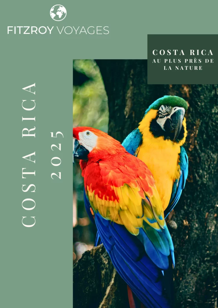 Aras multicolores au Costa Rica – immersion nature et voyage responsable