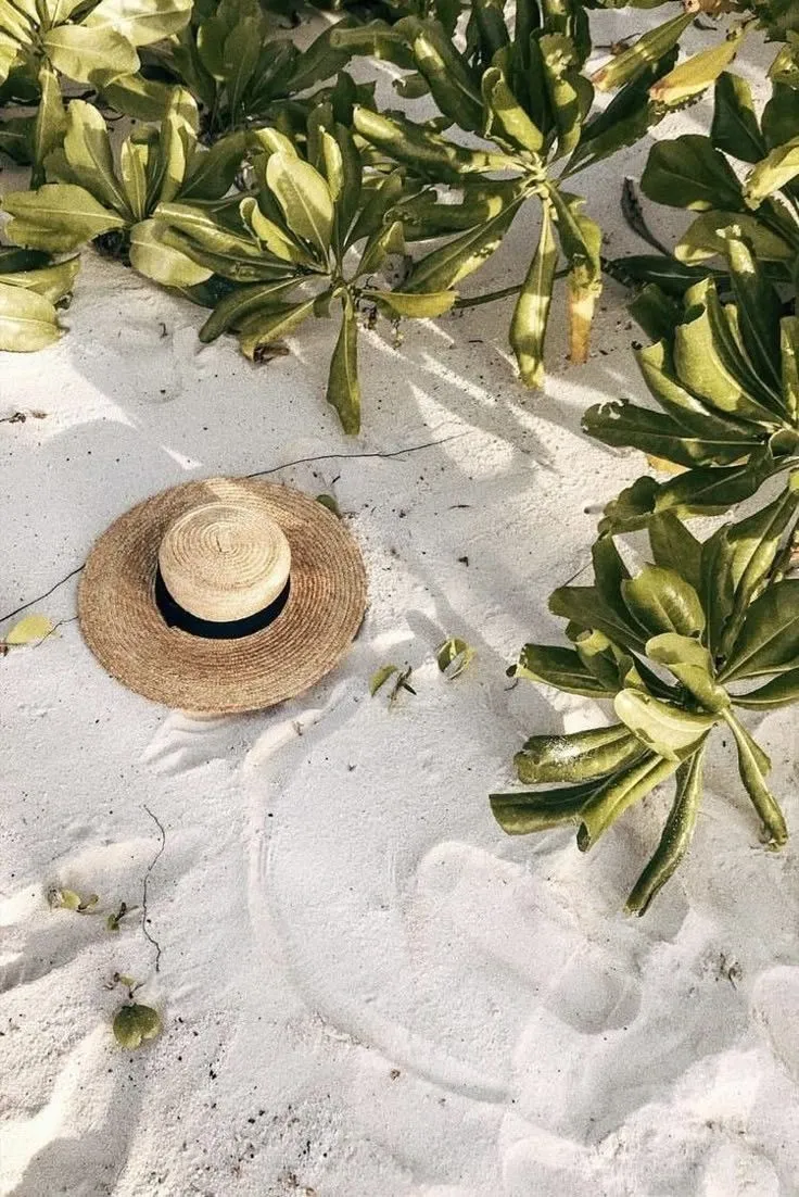 Moment de détente en voyage – café posé en pleine nature